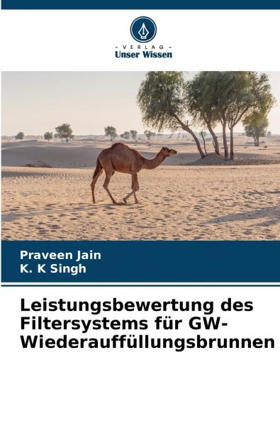 Leistungsbewertung des Filtersystems für GW-Wiederauffüllungsbrunnen