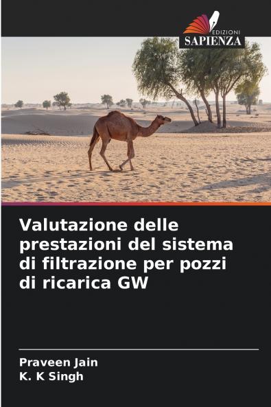 Valutazione delle prestazioni del sistema di filtrazione per pozzi di ricarica GW