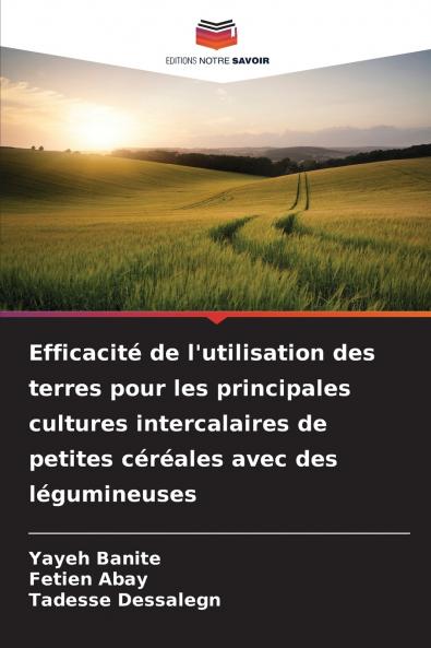 Efficacité de l'utilisation des terres pour les principales cultures intercalaires de petites céréales avec des légumineuses