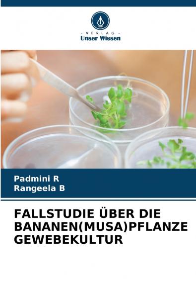 FALLSTUDIE ÜBER DIE BANANEN(MUSA)PFLANZE GEWEBEKULTUR