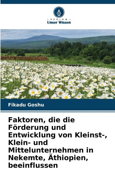 Faktoren die die Förderung und Entwicklung von Kleinst- Klein- und Mittelunternehmen in Nekemte Äthiopien beeinflussen