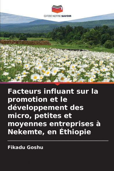 Facteurs influant sur la promotion et le développement des micro petites et moyennes entreprises à Nekemte en Éthiopie
