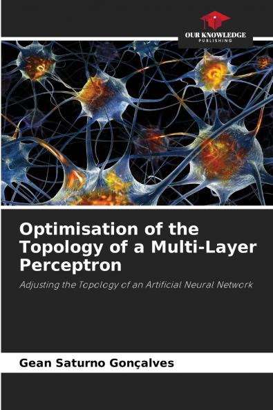 Optimisation of the Topology of a Multi-Layer Perceptron