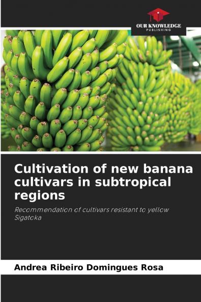 Cultivation of new banana cultivars in subtropical regions