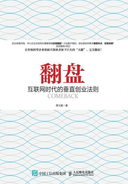 翻  盘：互联网时代的垂直创业法则