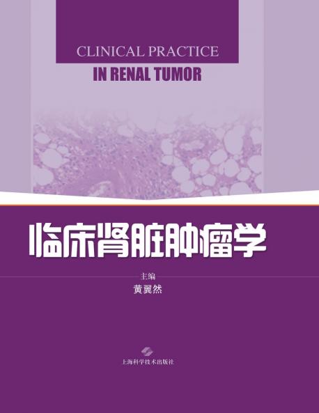 临床肾脏肿瘤学