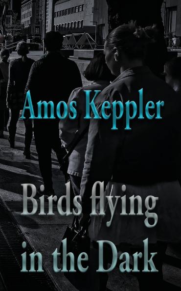 Birds Flying in the Dark