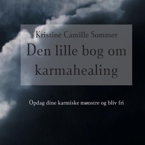 Den lille bog om karma-healing