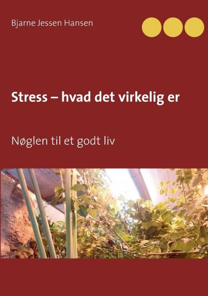 Stress - hvad det virkelig er