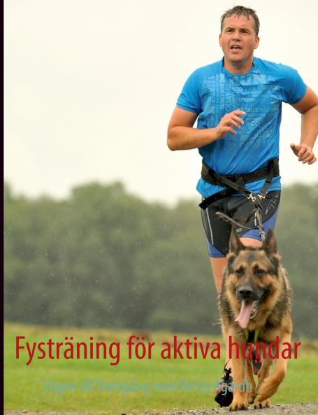Fysträning för aktiva hundar