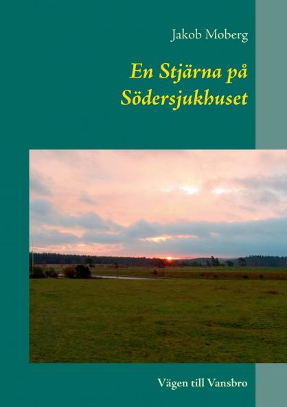 En Stjärna på Södersjukhuset