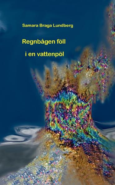 Regnb��gen f��ll i en vattenp��l