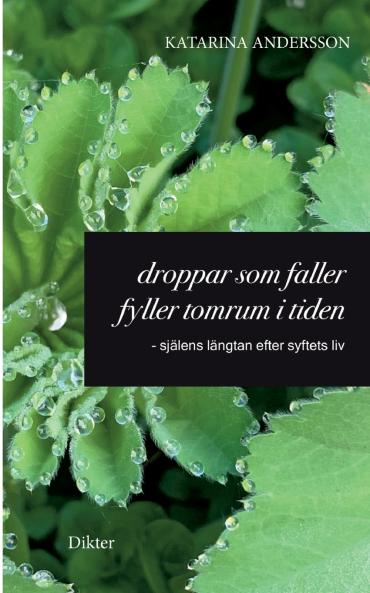 Droppar som faller fyller tomrum i tiden