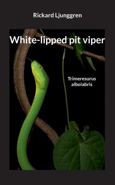 White-lipped pit viper