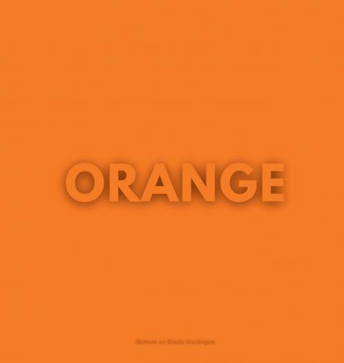 DEN ORANGEA BOKEN