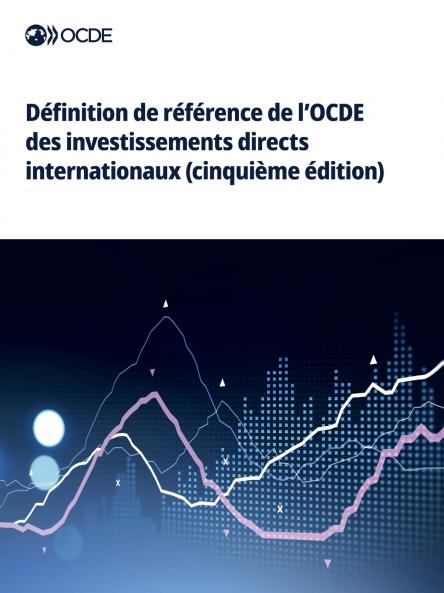 Définition de référence de l'OCDE des investissements directs internationaux (cinquième édition)