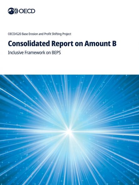 Consolidated Report on Amount B