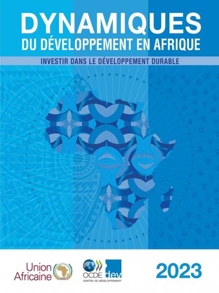 Dynamiques du développement en Afrique 2023