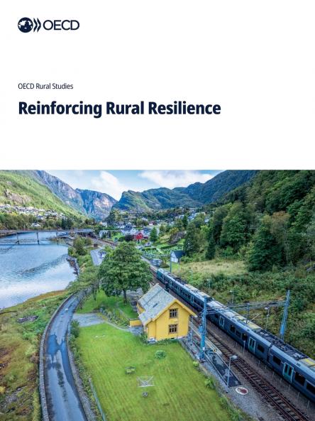 Reinforcing Rural Resilience