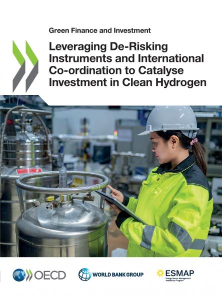 Leveraging De-Risking Instruments and International Co-ordination to Catalyse Investment in Clean Hydrogen