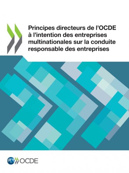 Principes directeurs de l'OCDE à l'intention des entreprises multinationales sur la conduite responsable des entreprises