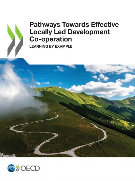 Pathways Towards Effective Locally Led Development Co-operation