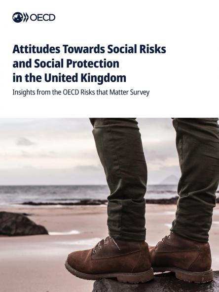 Attitudes Towards Social Risks and Social Protection in the United Kingdom