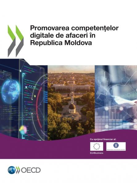 Promovarea competențelor digitale de afaceri în Republica Moldova