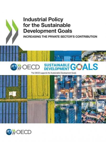 Industrial Policy for the Sustainable Development Goals