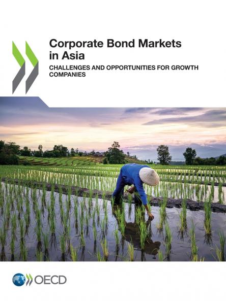 Corporate Bond Markets in Asia