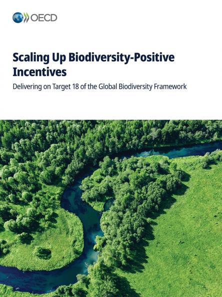 Scaling Up Biodiversity-Positive Incentives