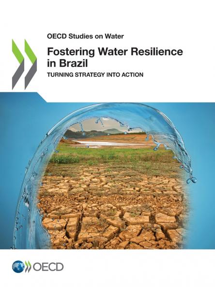 Fostering Water Resilience in Brazil