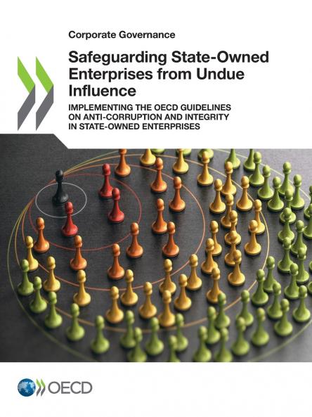 Safeguarding State-Owned Enterprises from Undue Influence