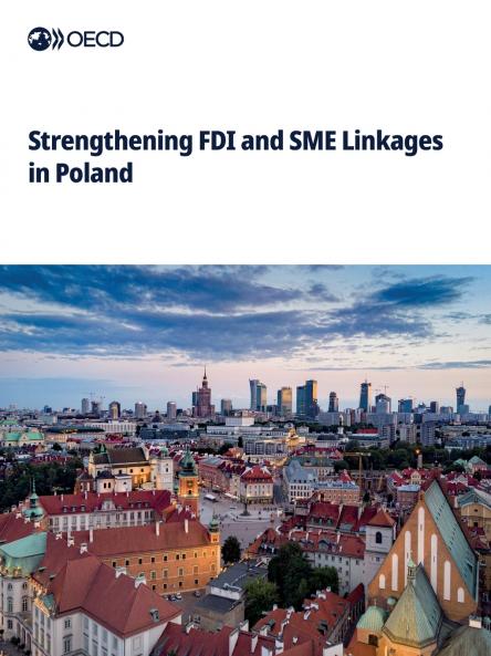 Strengthening FDI and SME Linkages in Poland
