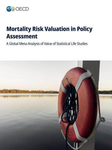 Mortality Risk Valuation in Policy Assessment