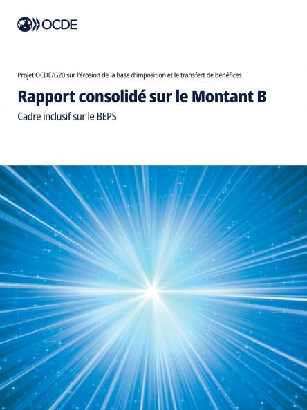 Rapport consolidé sur le Montant B