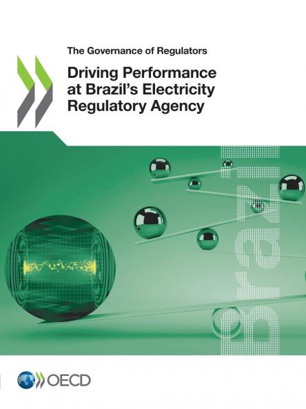 Driving Performance at Brazil's Electricity Regulatory Agency