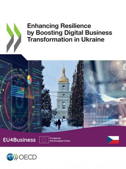 Enhancing Resilience by Boosting Digital Business Transformation in Ukraine