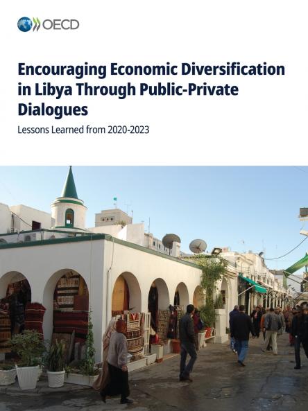 Encouraging Economic Diversification in Libya Through Public-Private Dialogues