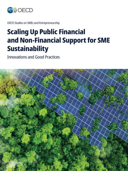 Scaling Up Public Financial and Non-Financial Support for SME Sustainability