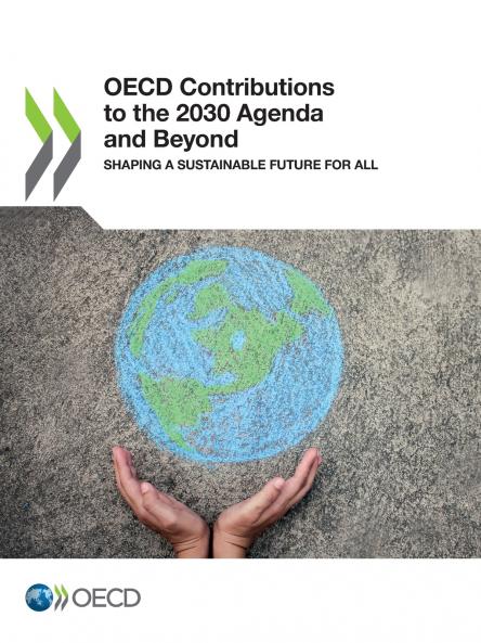 OECD Contributions to the 2030 Agenda and Beyond