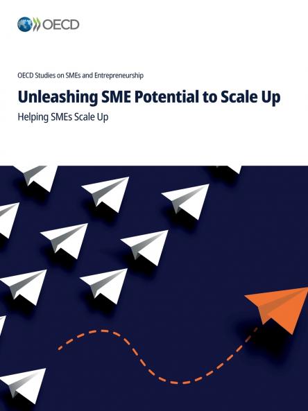 Unleashing SME Potential to Scale Up