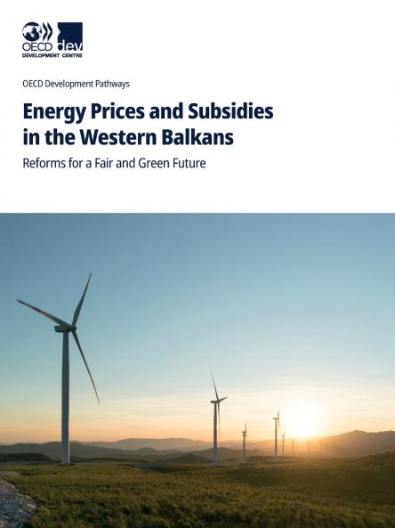 Energy Prices and Subsidies in the Western Balkans