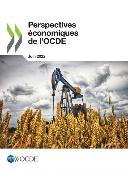 Perspectives économiques de l'OCDE Volume 2022 Numéro 1