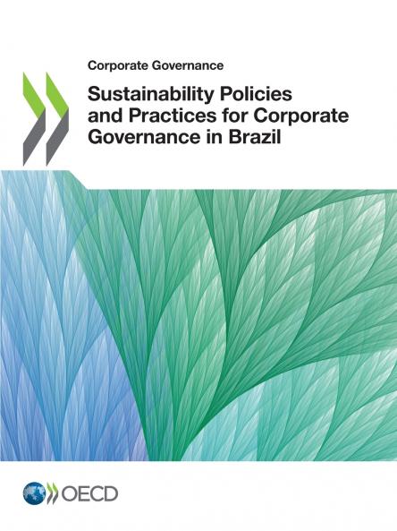 Sustainability Policies and Practices for Corporate Governance in Brazil