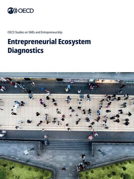 Entrepreneurial Ecosystem Diagnostics