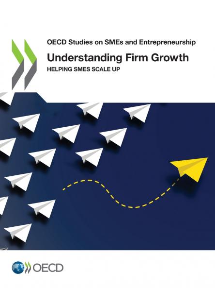 Understanding Firm Growth