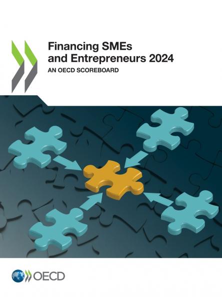 Financing SMEs and Entrepreneurs 2024