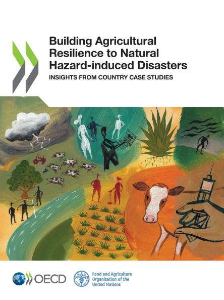 Building Agricultural Resilience to Natural Hazard-induced Disasters