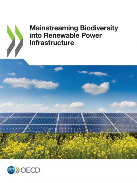 Mainstreaming Biodiversity into Renewable Power Infrastructure